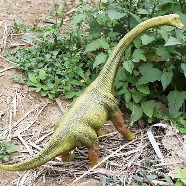 Brachiosaurus Dinosaur Action Figure