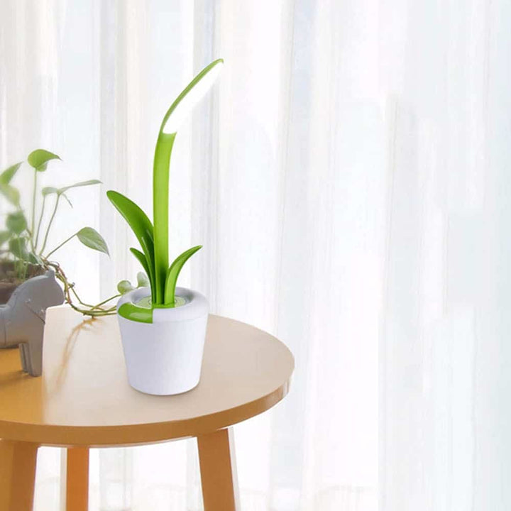 Quirky Plant Table Touch Lamp - Unique Lamps For Gifts in India