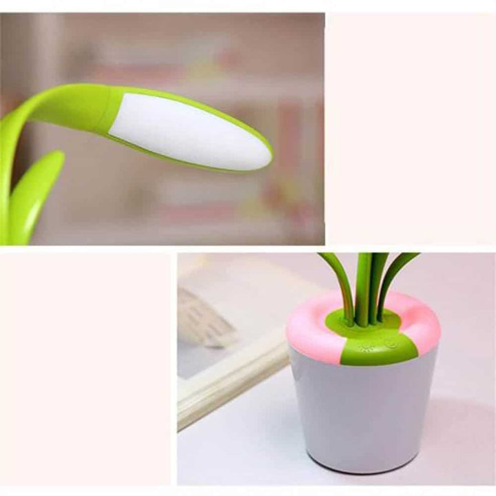 Quirky Plant Table Touch Lamp - Unique Lamps For Gifts in India